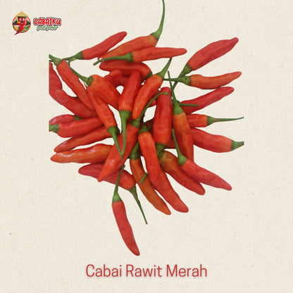 Cabai Rawit Merah